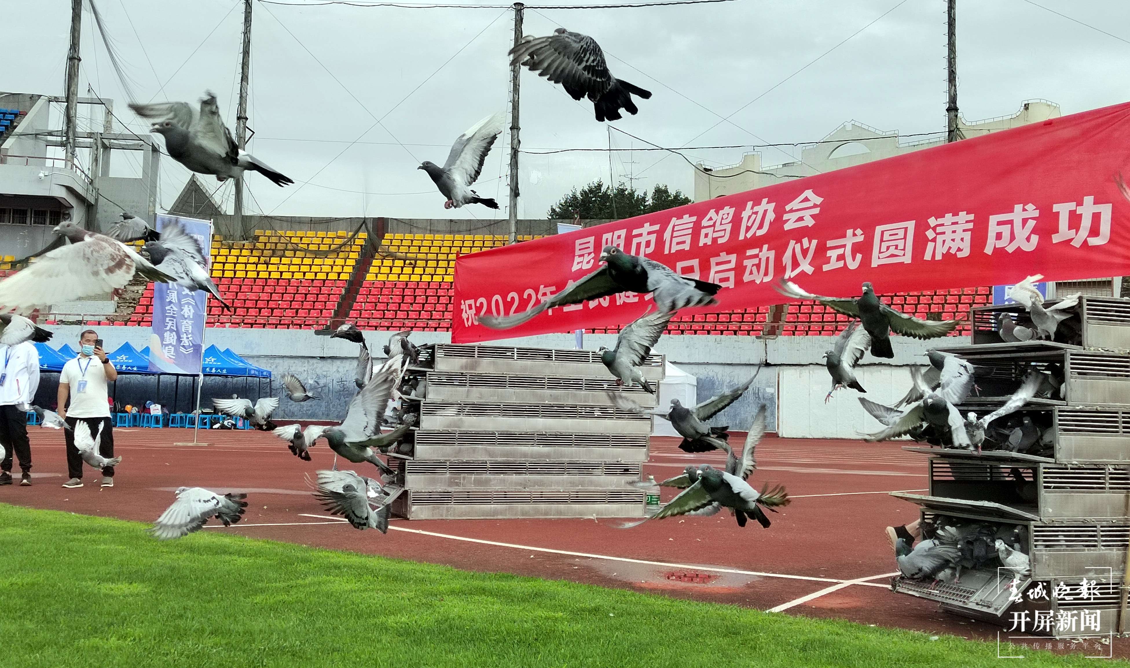全民健身日昆明信鸽放飞4.jpg