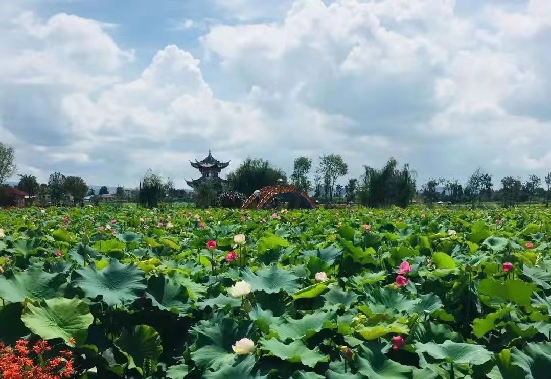 曲靖麒麟沿江街道：支部引领聚合力 高原水乡铺出幸福路 (3).jpg