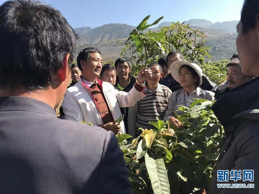 郭学红现场讲解芒果种植技术（资料图）。新华网发（丽江市委统战部 供图）.png