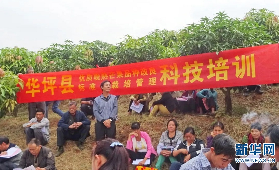 优质晚熟芒果品种改良标准化栽培管理培训（资料图）。新华网发（丽江市委统战部 供图）.png