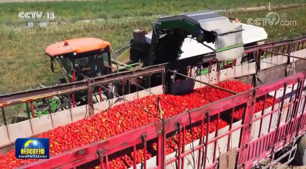 【奋进新征程 建功新时代·非凡十年】团结奋斗绘就新时代新疆壮美画卷