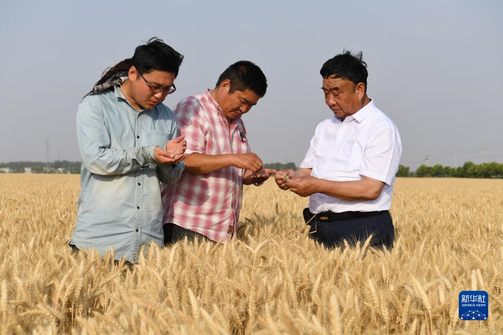 牢记嘱托建新功|带领乡亲们多种粮、种好粮