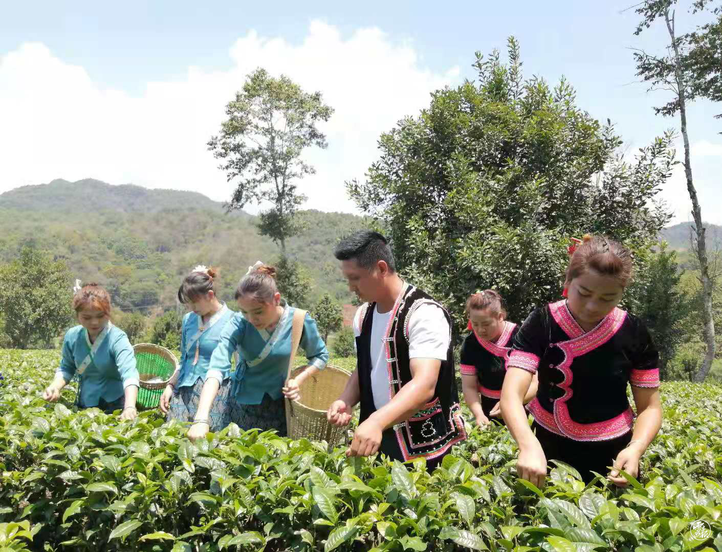 云南统战这十年｜孟连