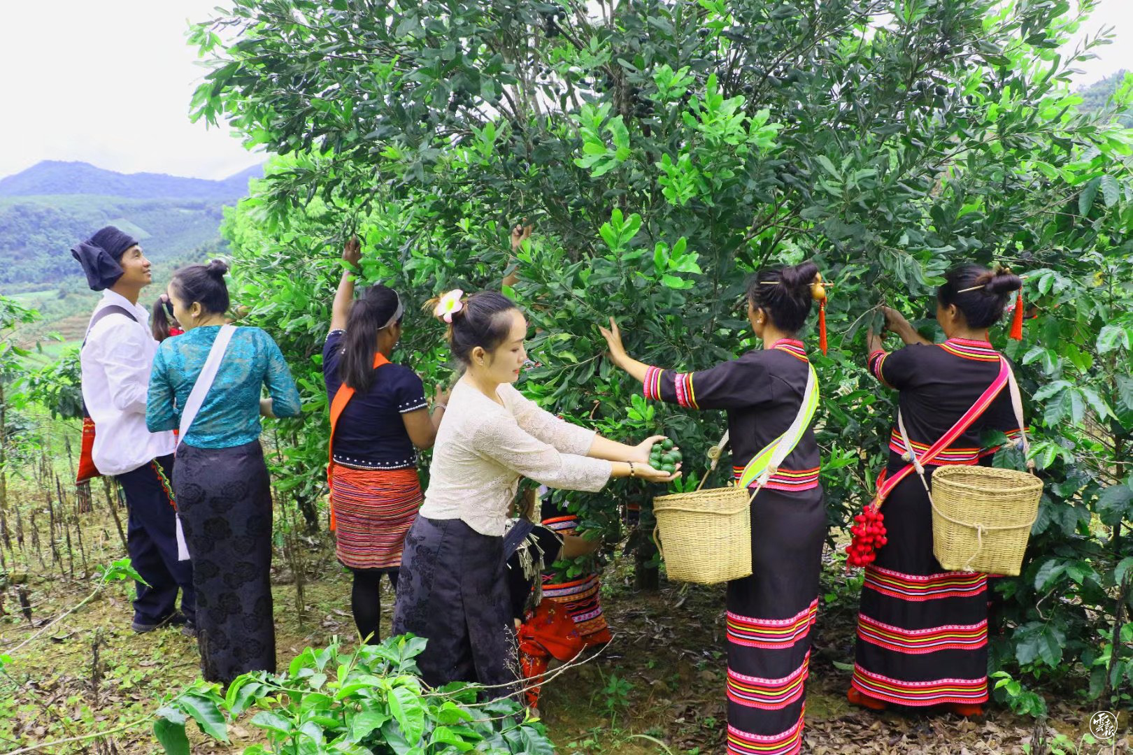 云南统战这十年｜孟连