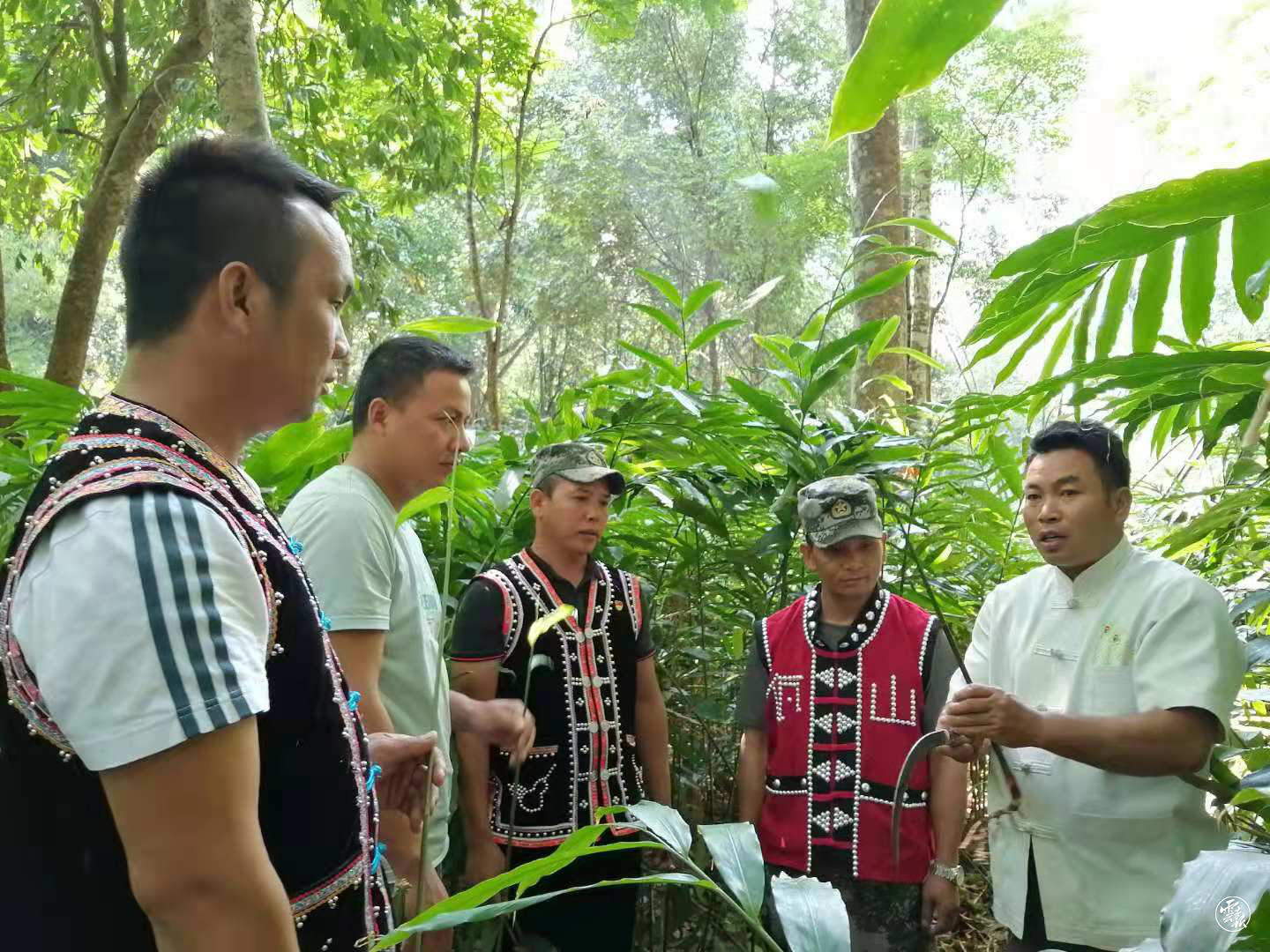 云南统战这十年｜孟连