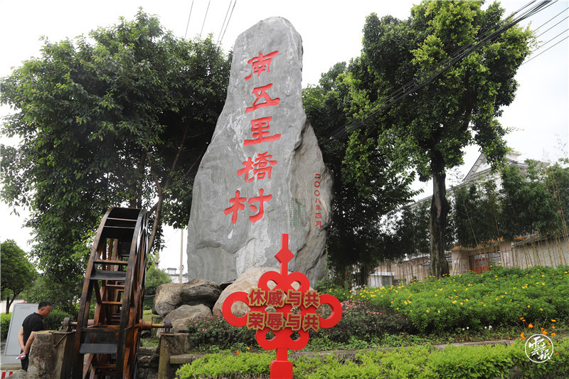 大理市南五里桥村 团结花开 别样红 1.jpg