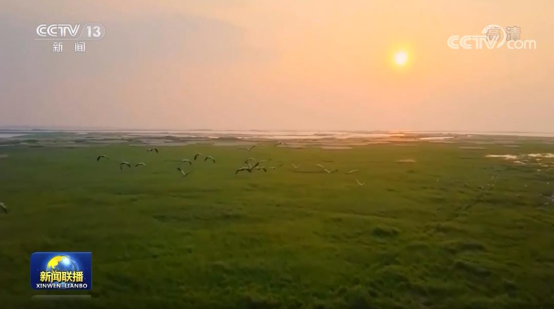 【解码十年】让母亲河永葆生机活力