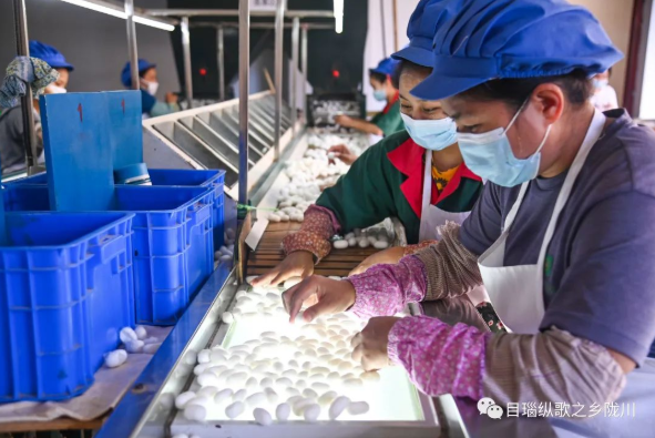 典型引路系列报道⑤ 丨一业一策 破茧成蝶！