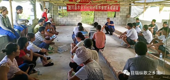 典型引路系列报道⑤ 丨一业一策 破茧成蝶！