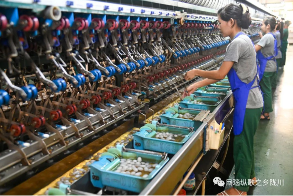 典型引路系列报道⑤ 丨一业一策 破茧成蝶！