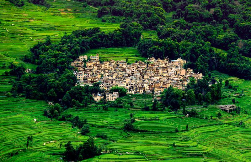 典型引路系列报道④ 丨云南省生态环境厅