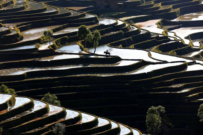 典型引路系列报道④ 丨云南省生态环境厅