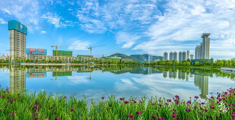 图源：云报客户端