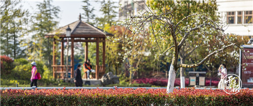 图源：云报客户端