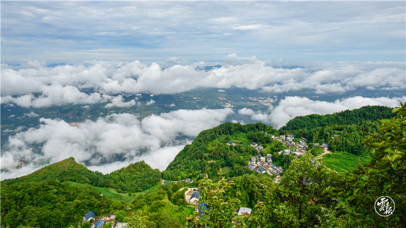 图源：云报客户端