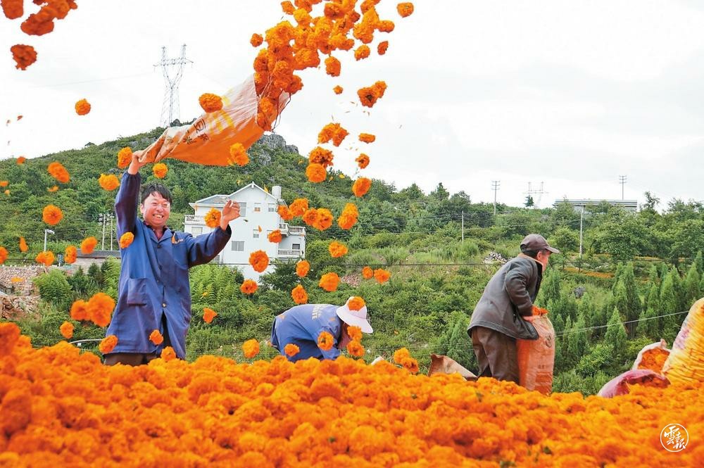 图源：云报客户端