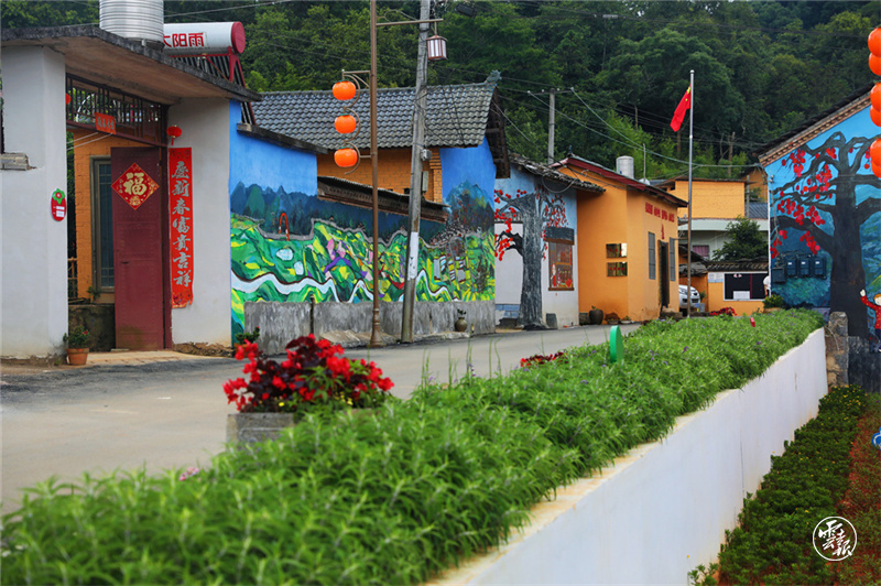 图源：云报客户端