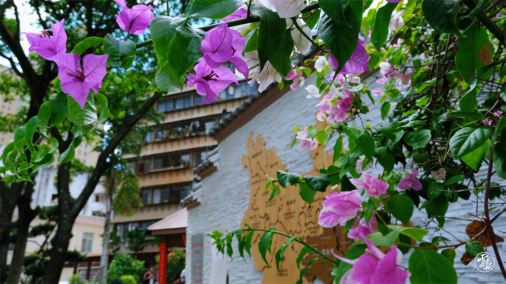 图源：云报客户端