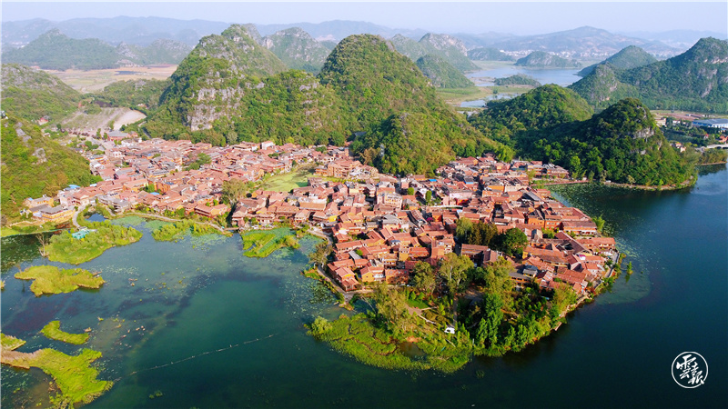 图源：云报客户端