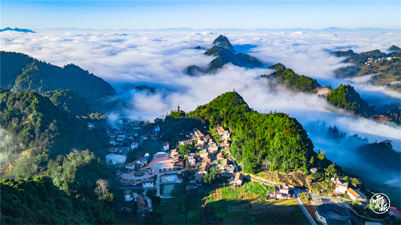 图源：云报客户端