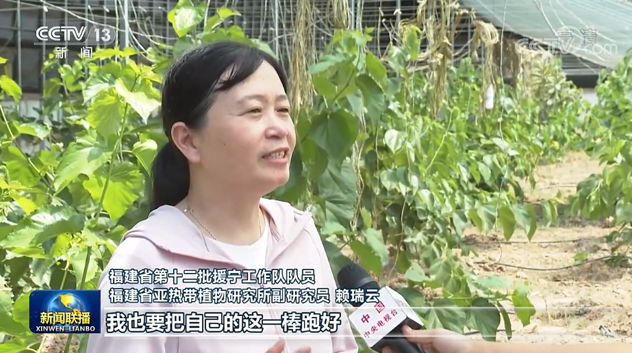 联播丨接续奋斗 闽宁山海情再谱新篇