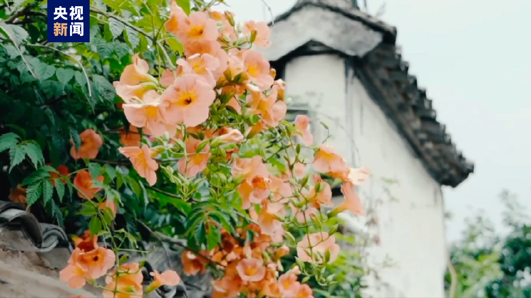 惊艳了！中国一县——地名虽然生僻 各自身怀绝技