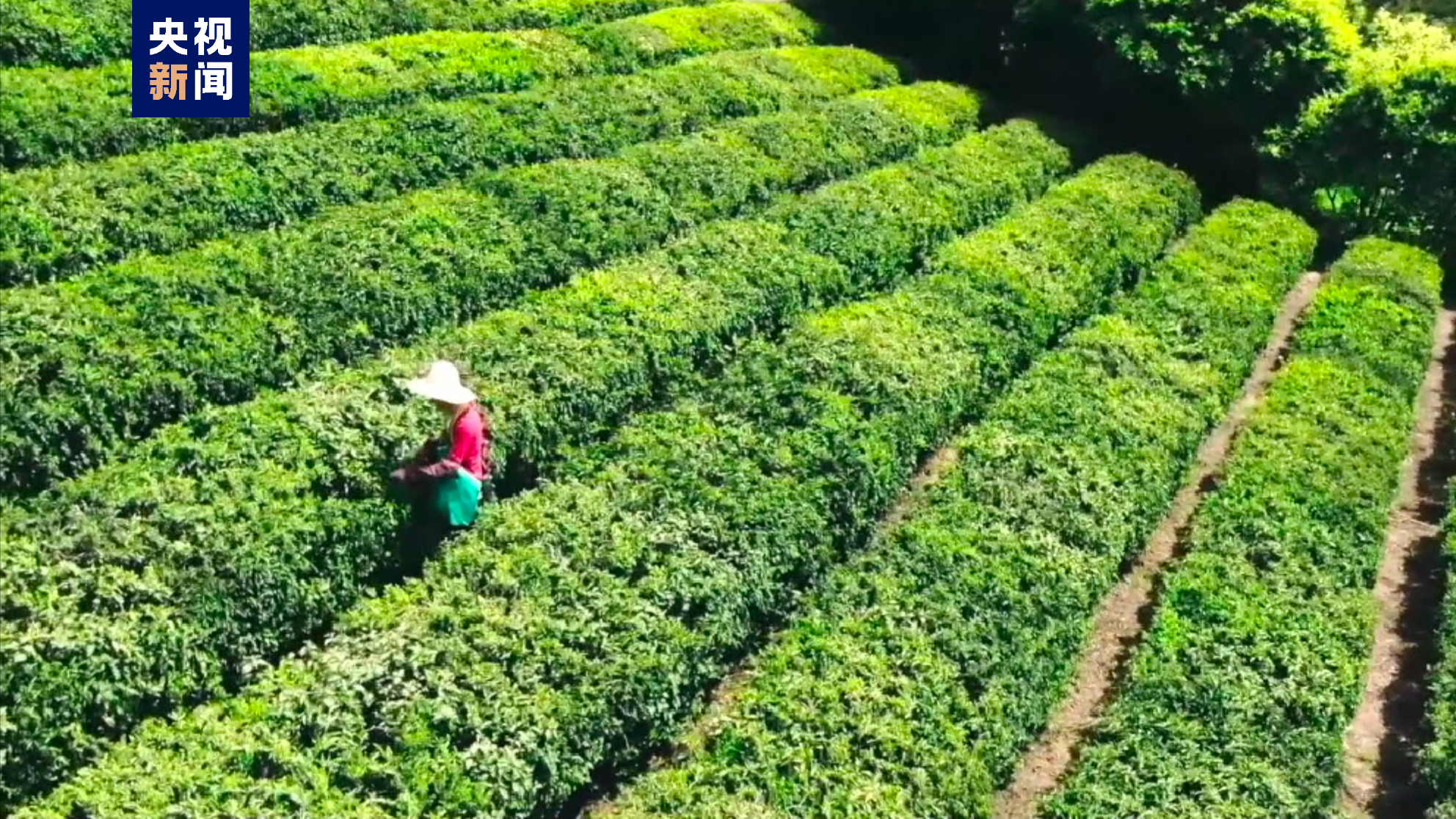 惊艳了！中国一县——地名虽然生僻 各自身怀绝技