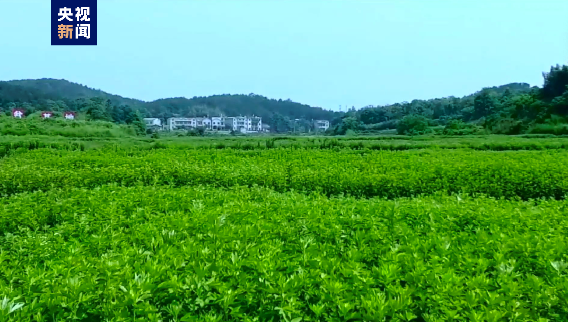 惊艳了！中国一县——地名虽然生僻 各自身怀绝技