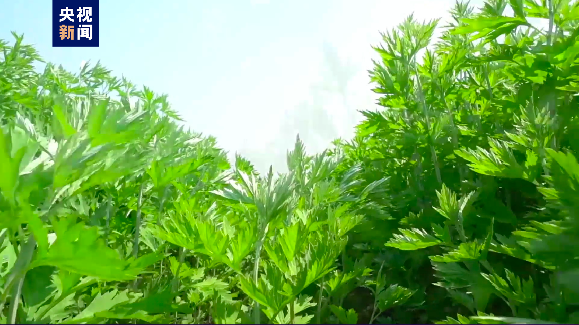 惊艳了！中国一县——地名虽然生僻 各自身怀绝技