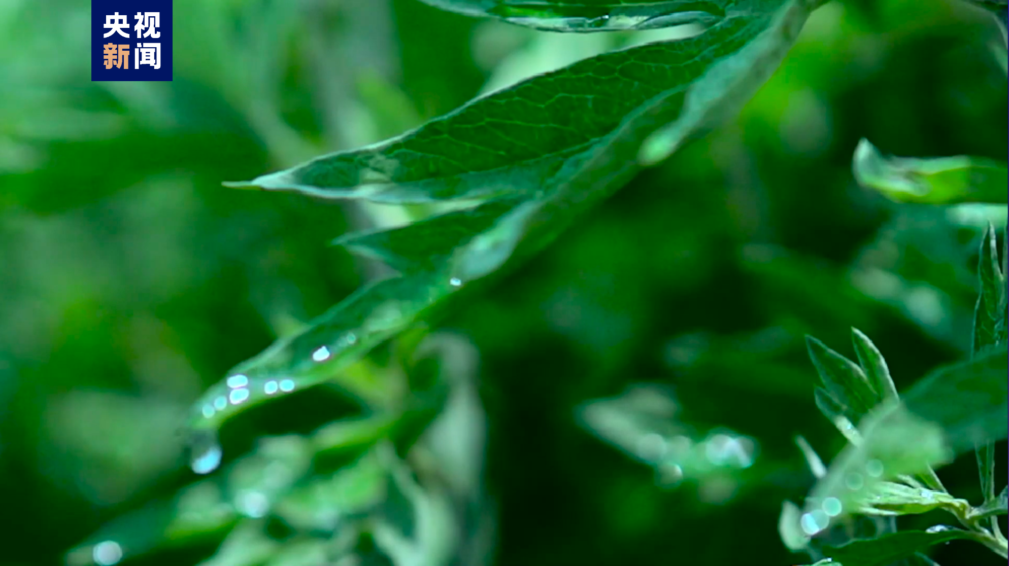 惊艳了！中国一县——地名虽然生僻 各自身怀绝技