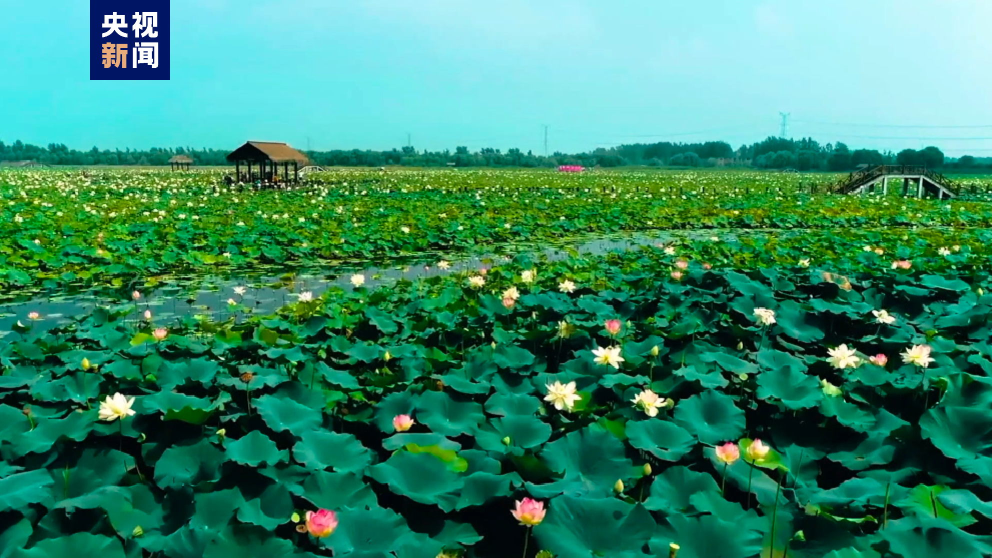 惊艳了！中国一县——地名虽然生僻 各自身怀绝技