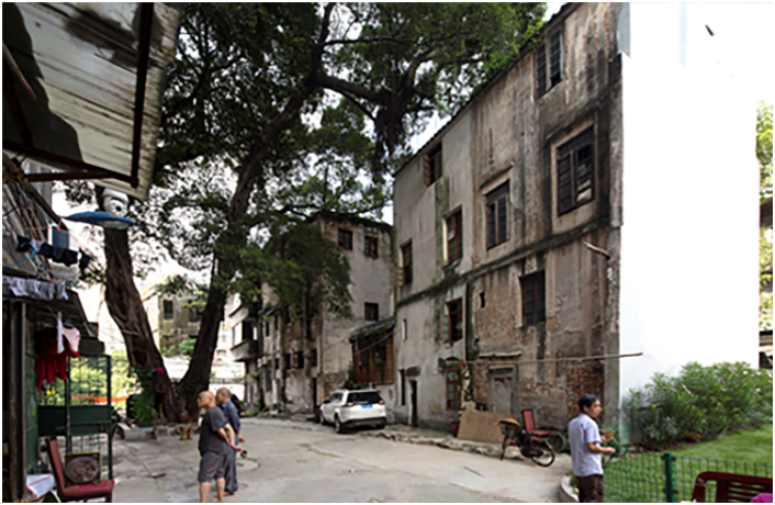 镜头里的十年·奔向美好丨老巷“重生”记