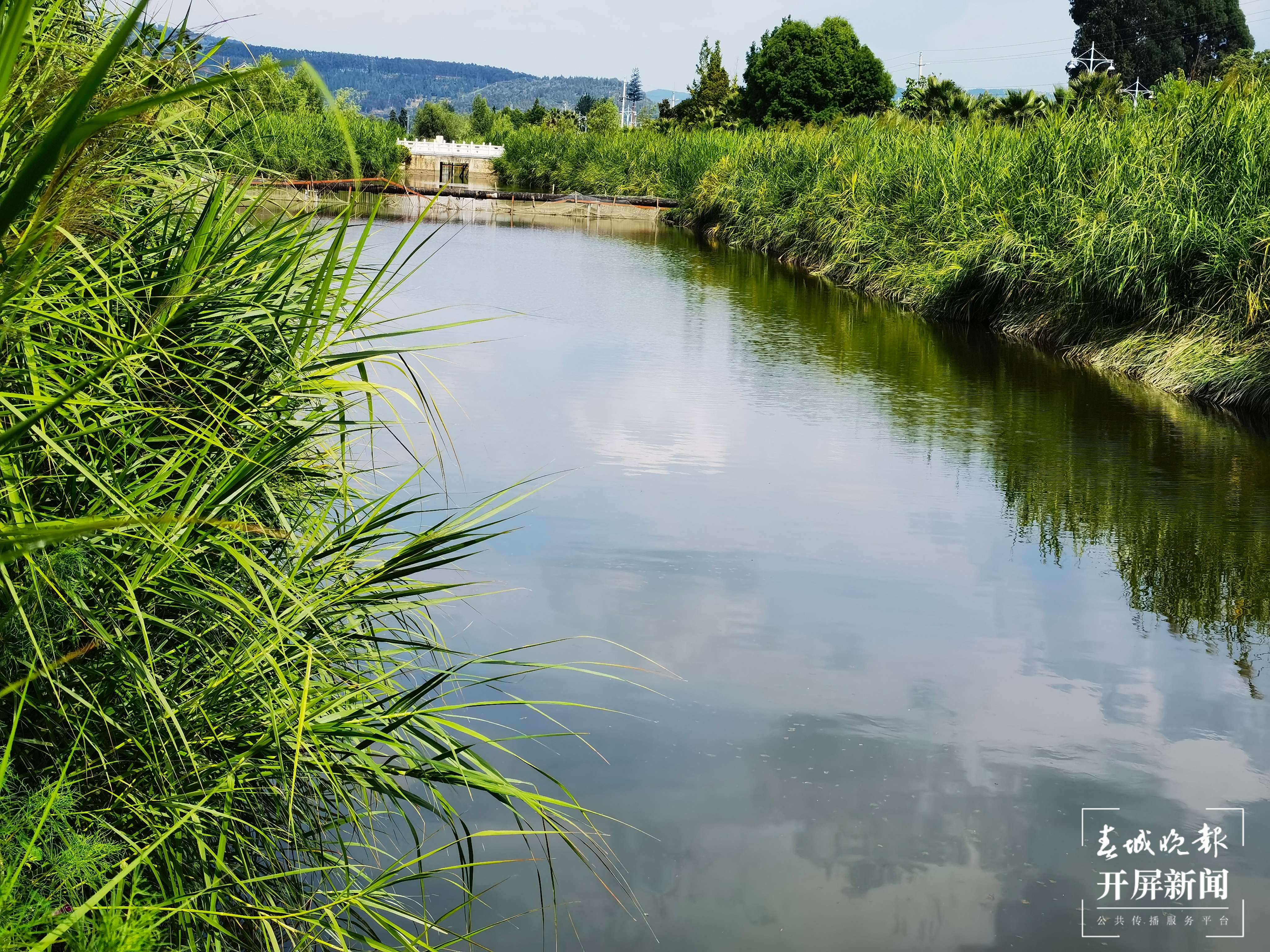 共担保护之责 守护高原明珠 (2).jpg