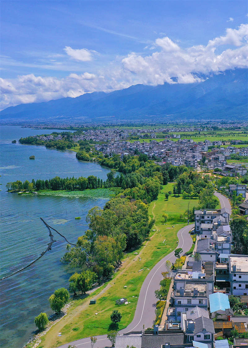 生态廊道：洱海保护治理 送给世界的美好大礼7.jpg