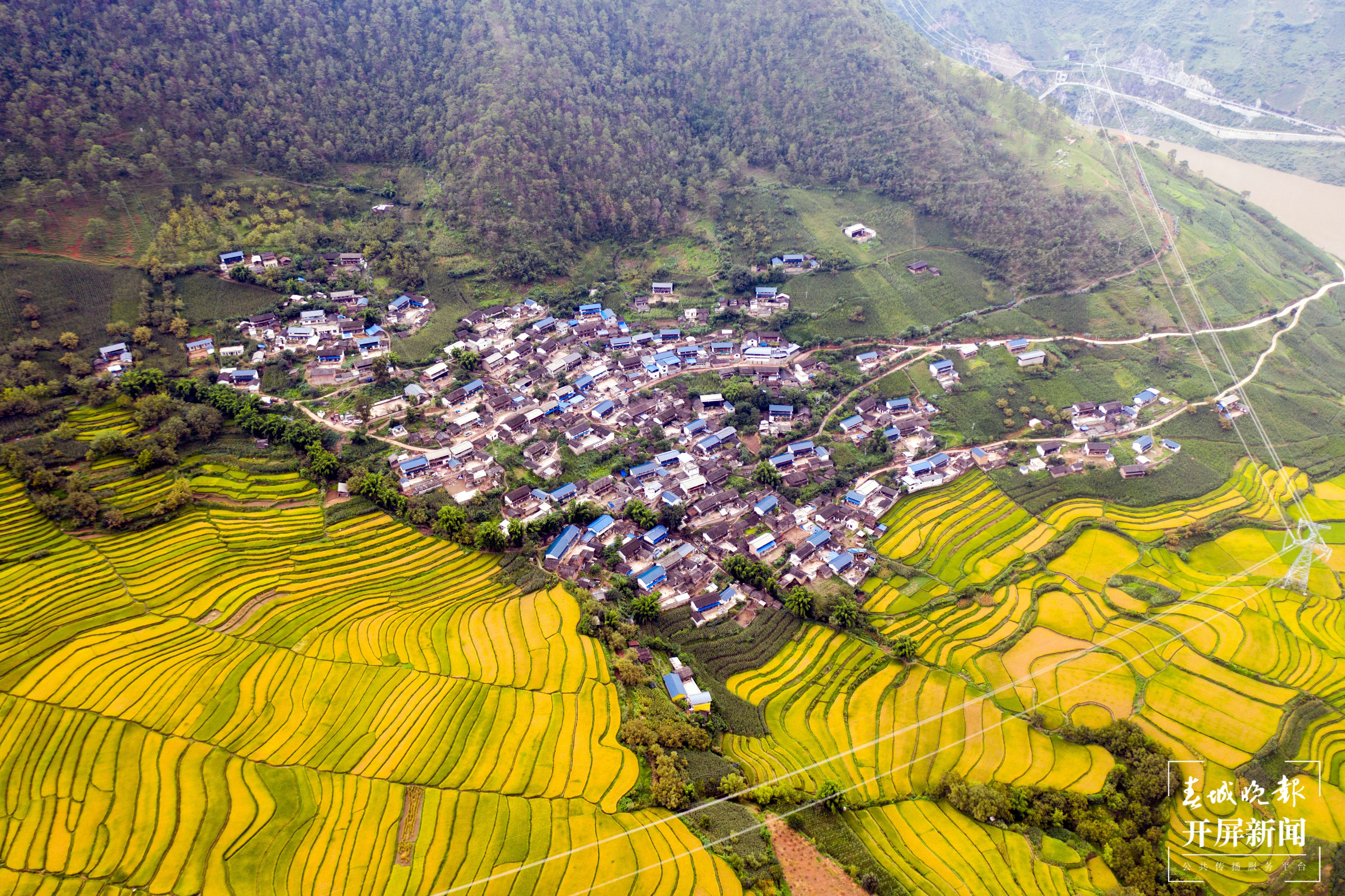 云南秋景上新｜大理丰收（开屏新闻记者 刘文波 杨维琦 通讯员 摄）