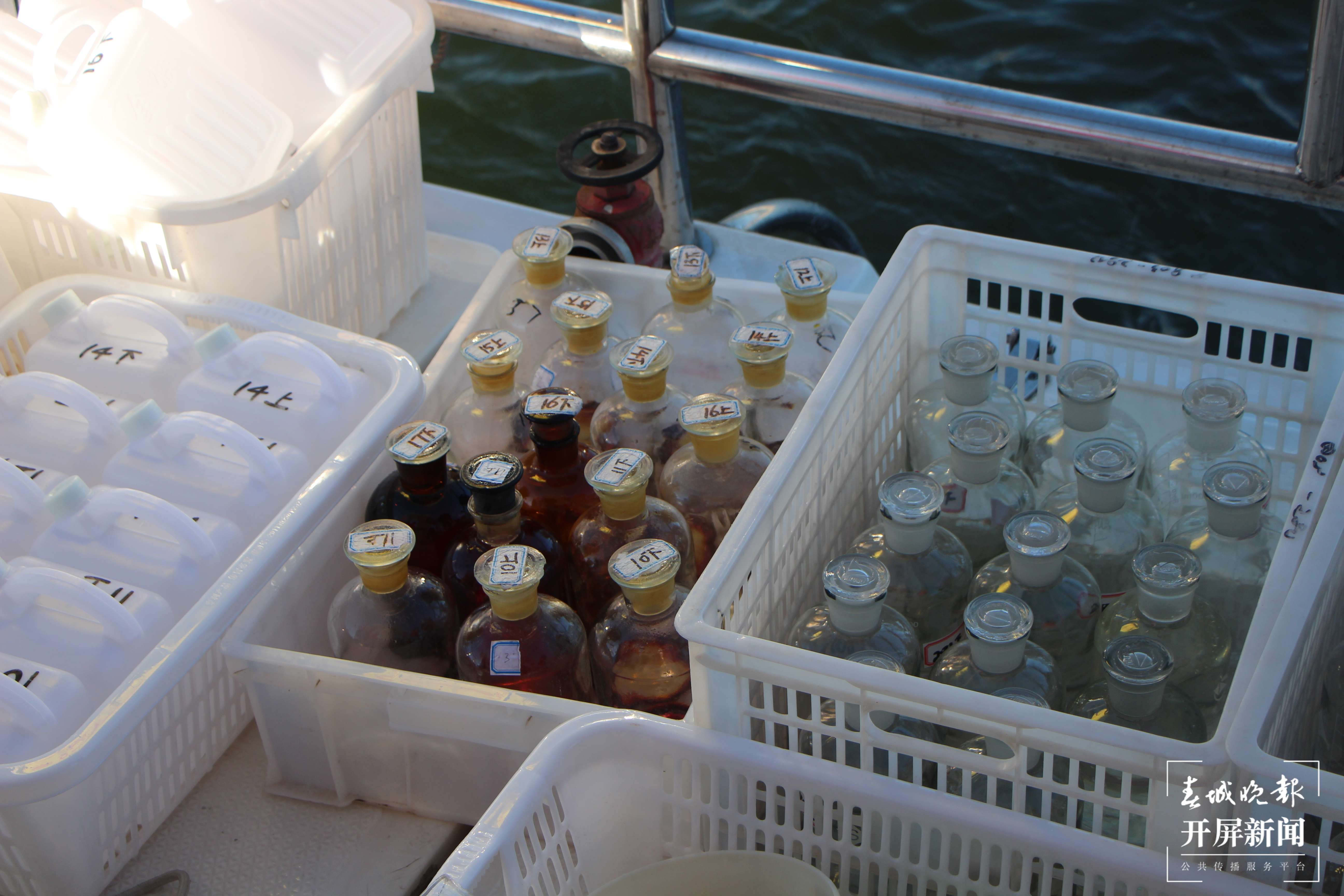 【云南统战这十年·高原湖泊行】上海交通大学云南(大理)研究院:发挥共建优势 用好科研力量