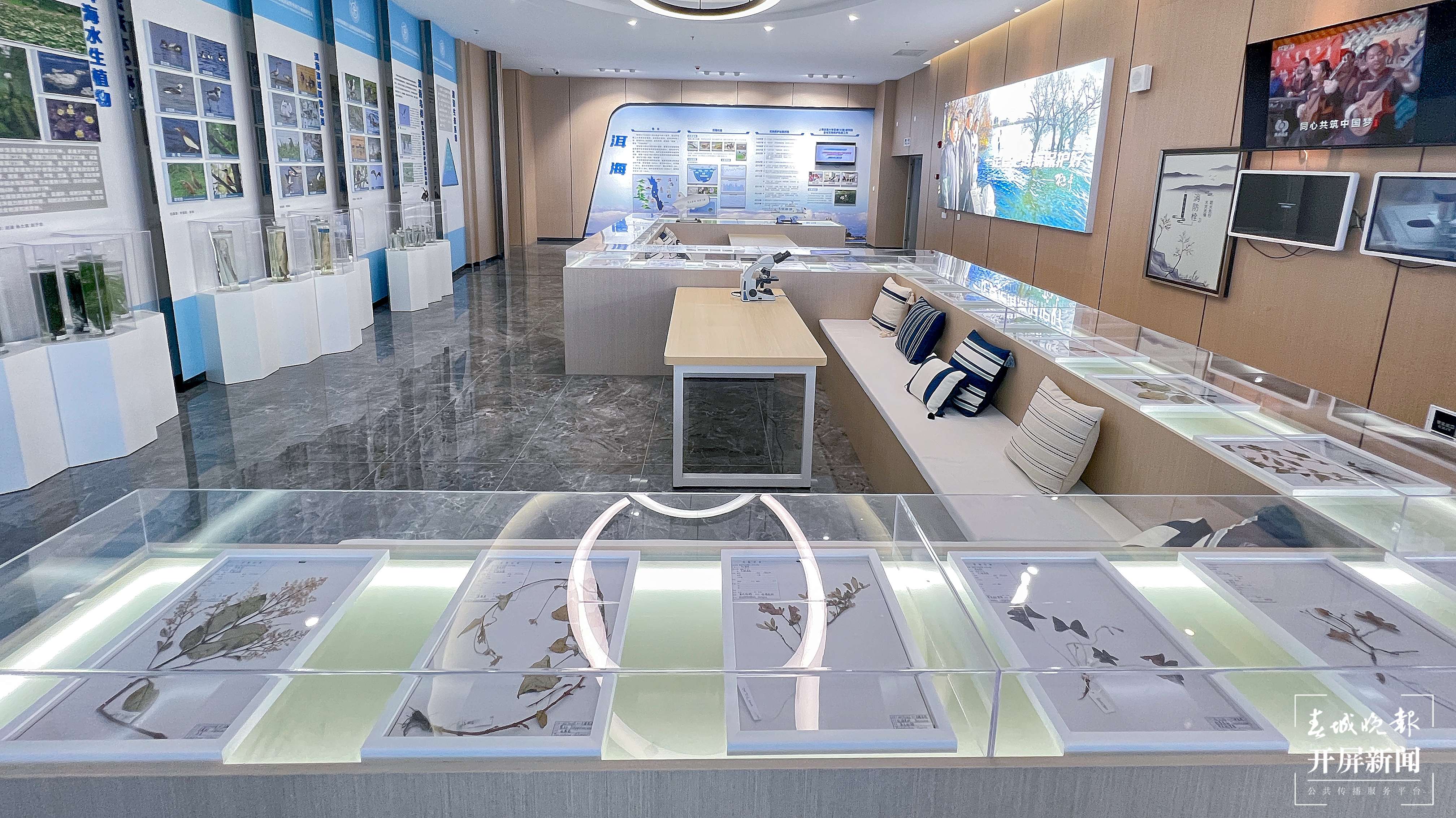 【云南统战这十年·高原湖泊行】上海交通大学云南(大理)研究院:发挥共建优势 用好科研力量