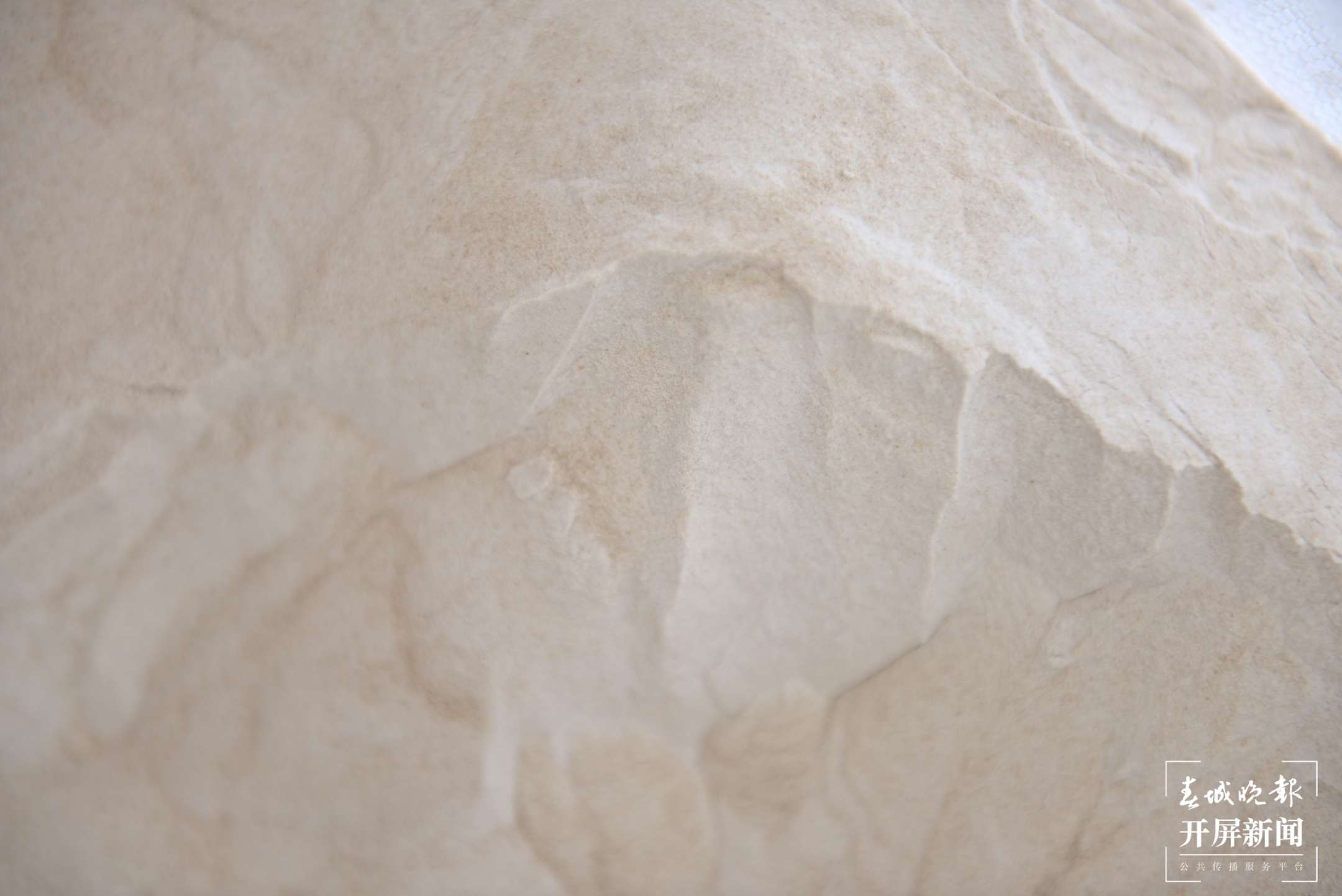 保山昌宁：天堂山心叶百合“粉”出好生活（崔敏 通讯员 吴再忠  陈雯琪 摄）