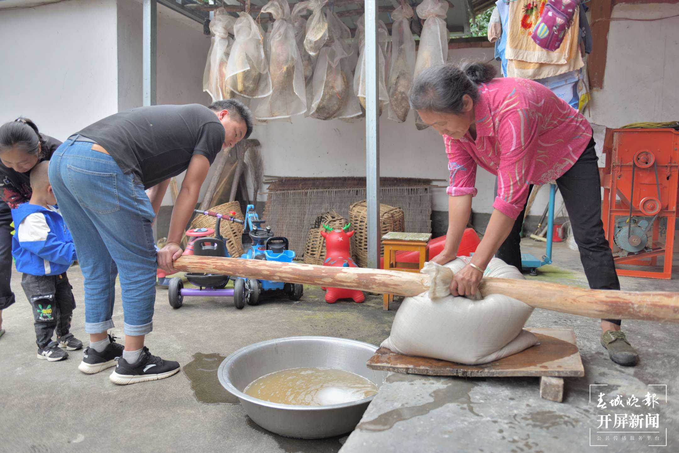 保山昌宁：天堂山心叶百合“粉”出好生活（崔敏 通讯员 吴再忠  陈雯琪 摄）