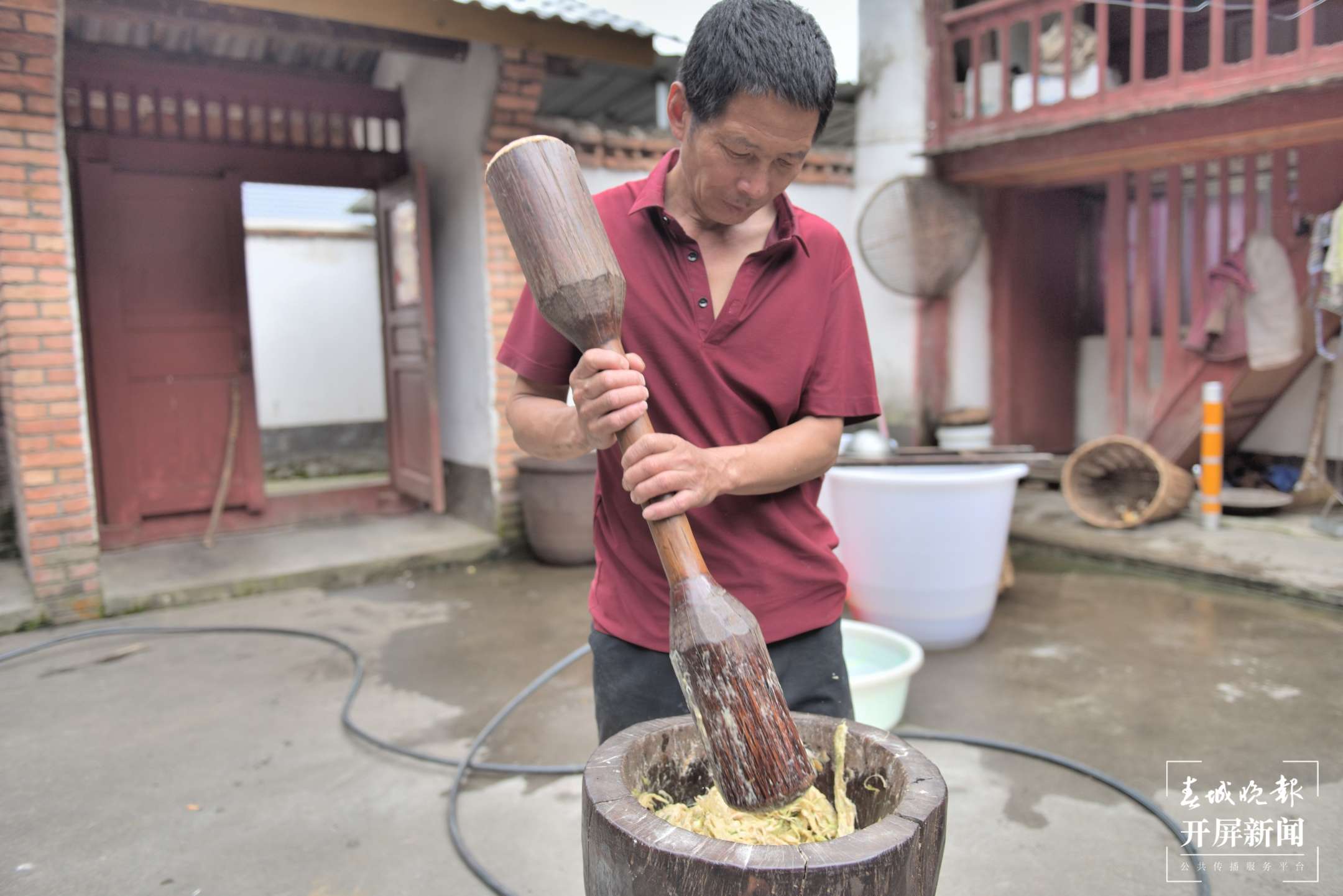 保山昌宁：天堂山心叶百合“粉”出好生活（崔敏 通讯员 吴再忠  陈雯琪 摄）
