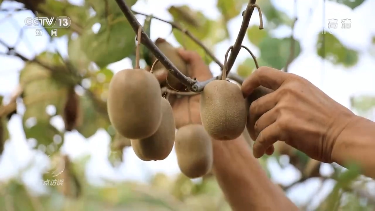 焦点访谈：领航中国 全面小康 一个都不能少