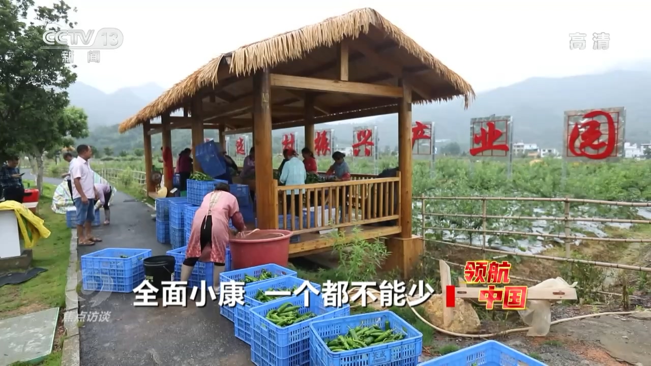 焦点访谈：领航中国 全面小康 一个都不能少