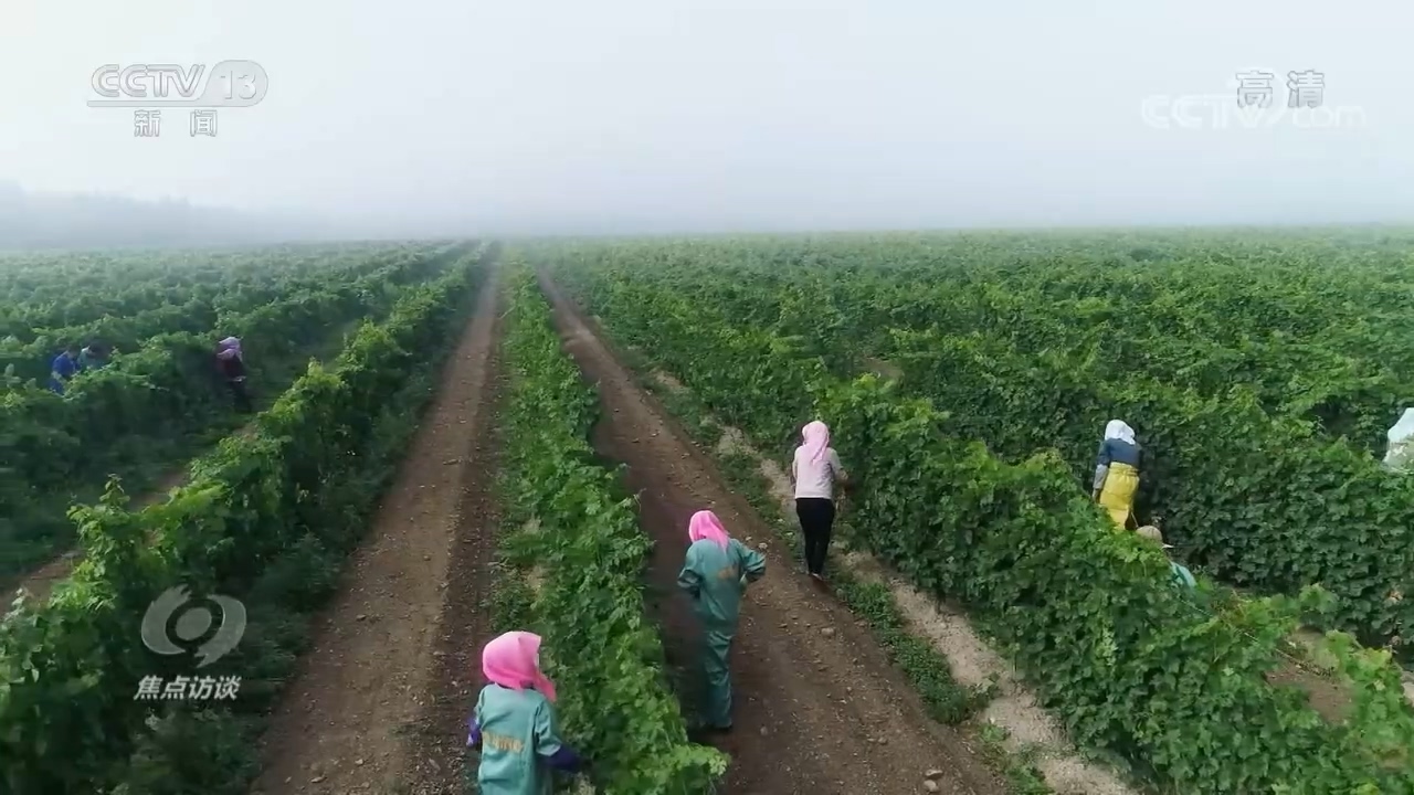 焦点访谈：领航中国 全面小康 一个都不能少