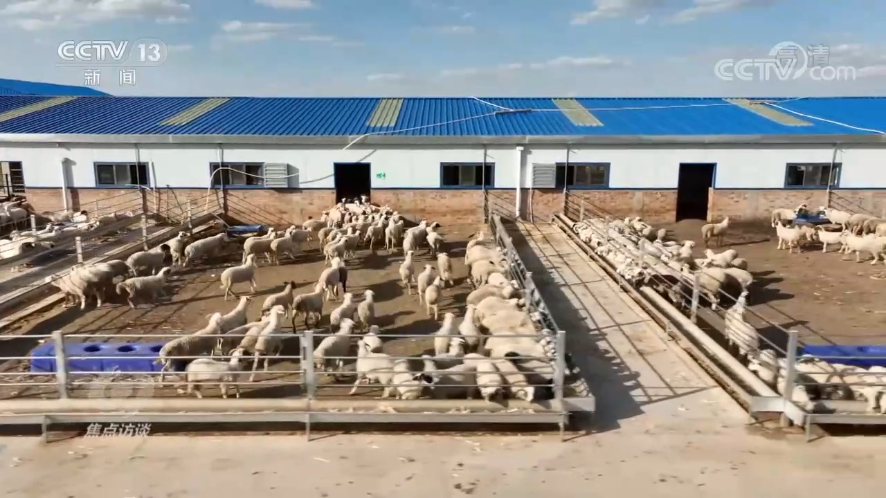 焦点访谈：领航中国 全面小康 一个都不能少