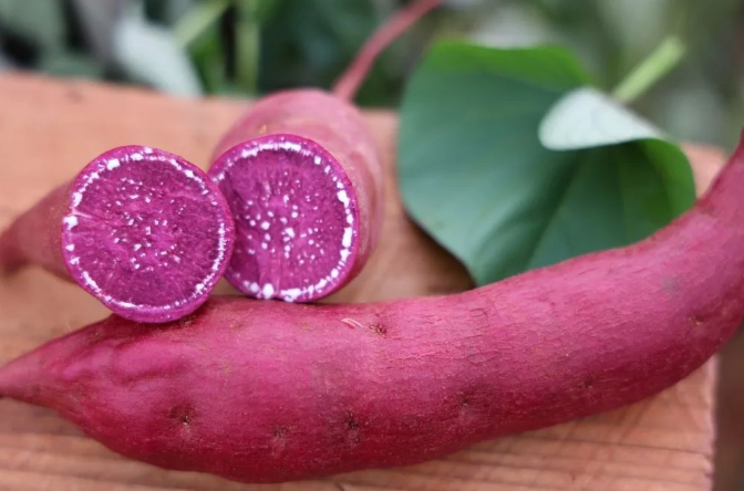 建水紫薯新鲜上市 农户笑开颜.png