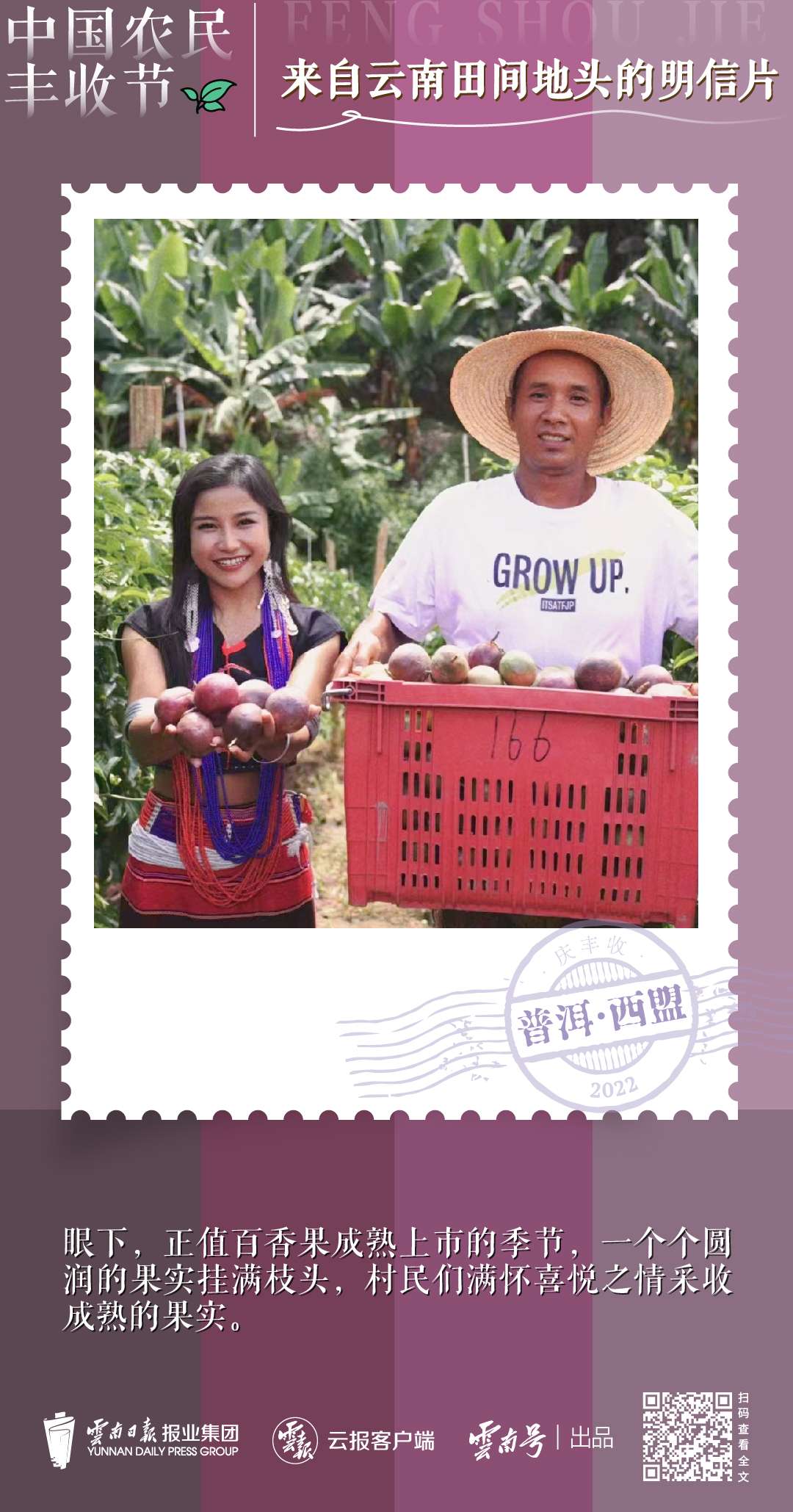 送你一组丰收明信片，作者是云南的他们→3.jpg