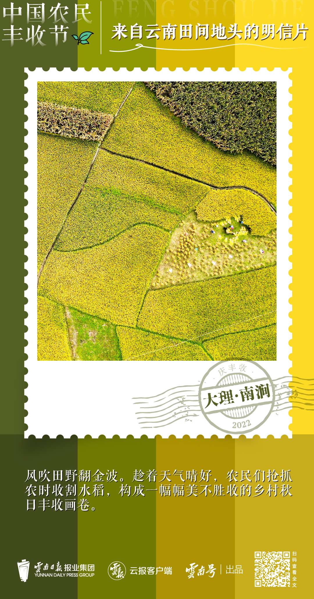 送你一组丰收明信片，作者是云南的他们→2.jpg