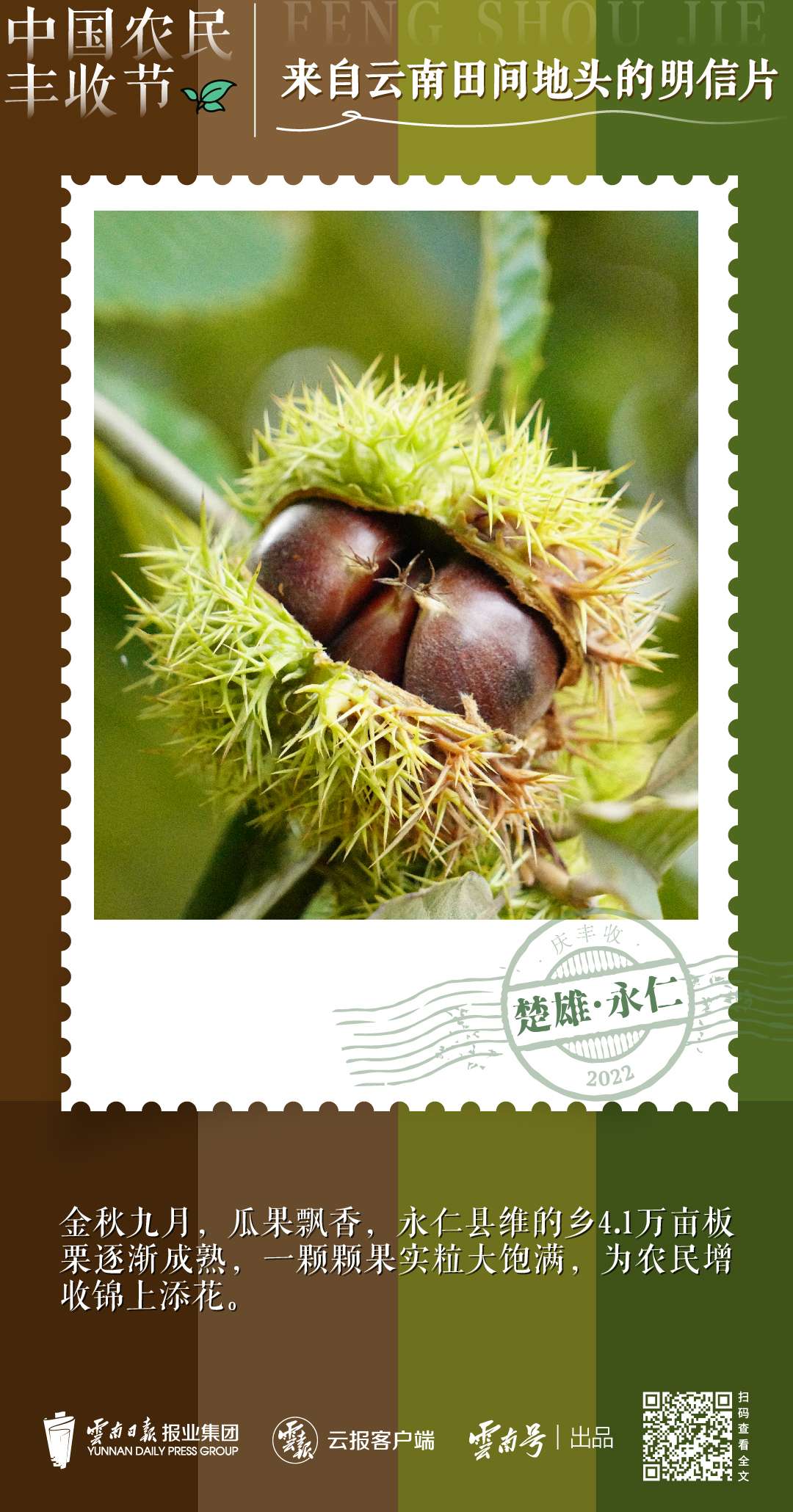 送你一组丰收明信片，作者是云南的他们→6.jpg