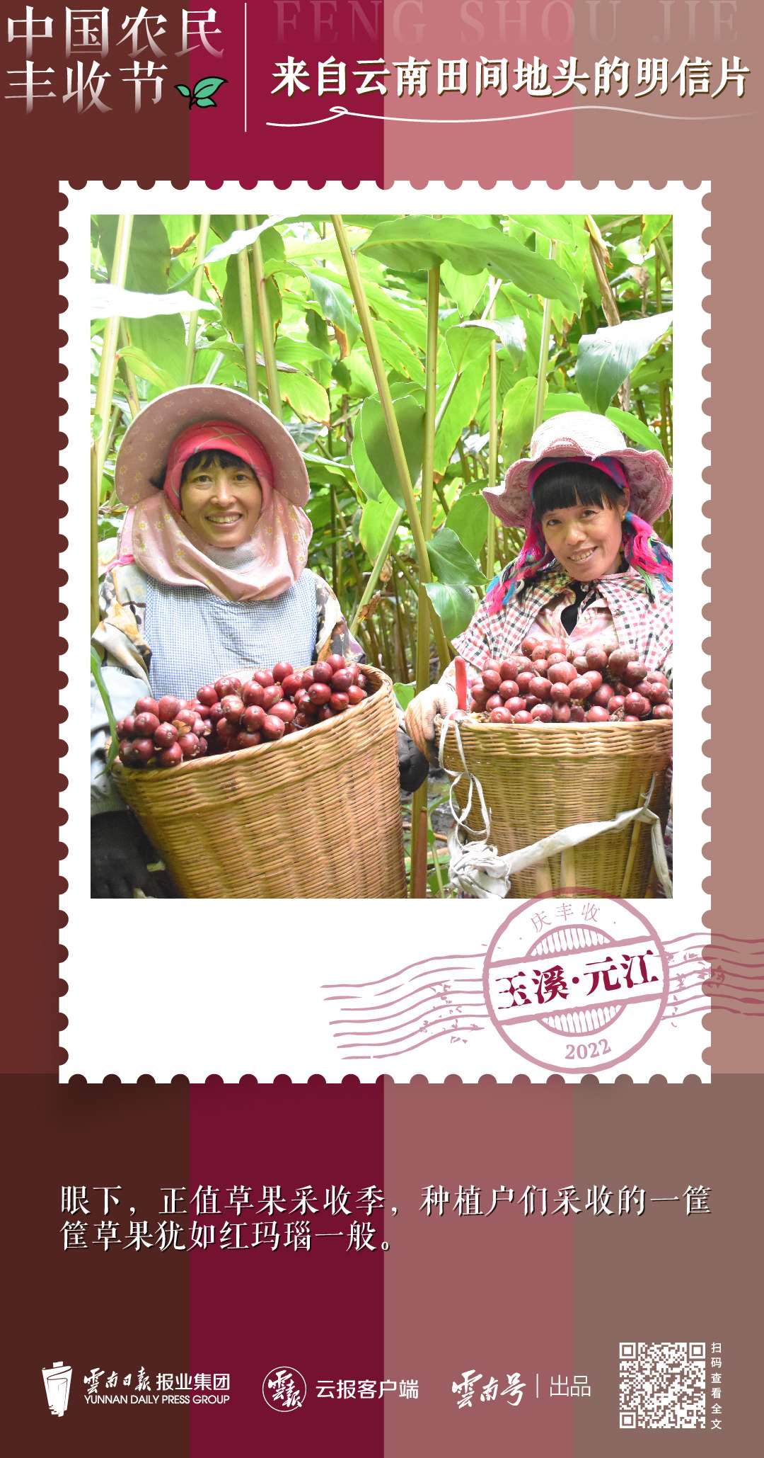 送你一组丰收明信片，作者是云南的他们→7.jpg