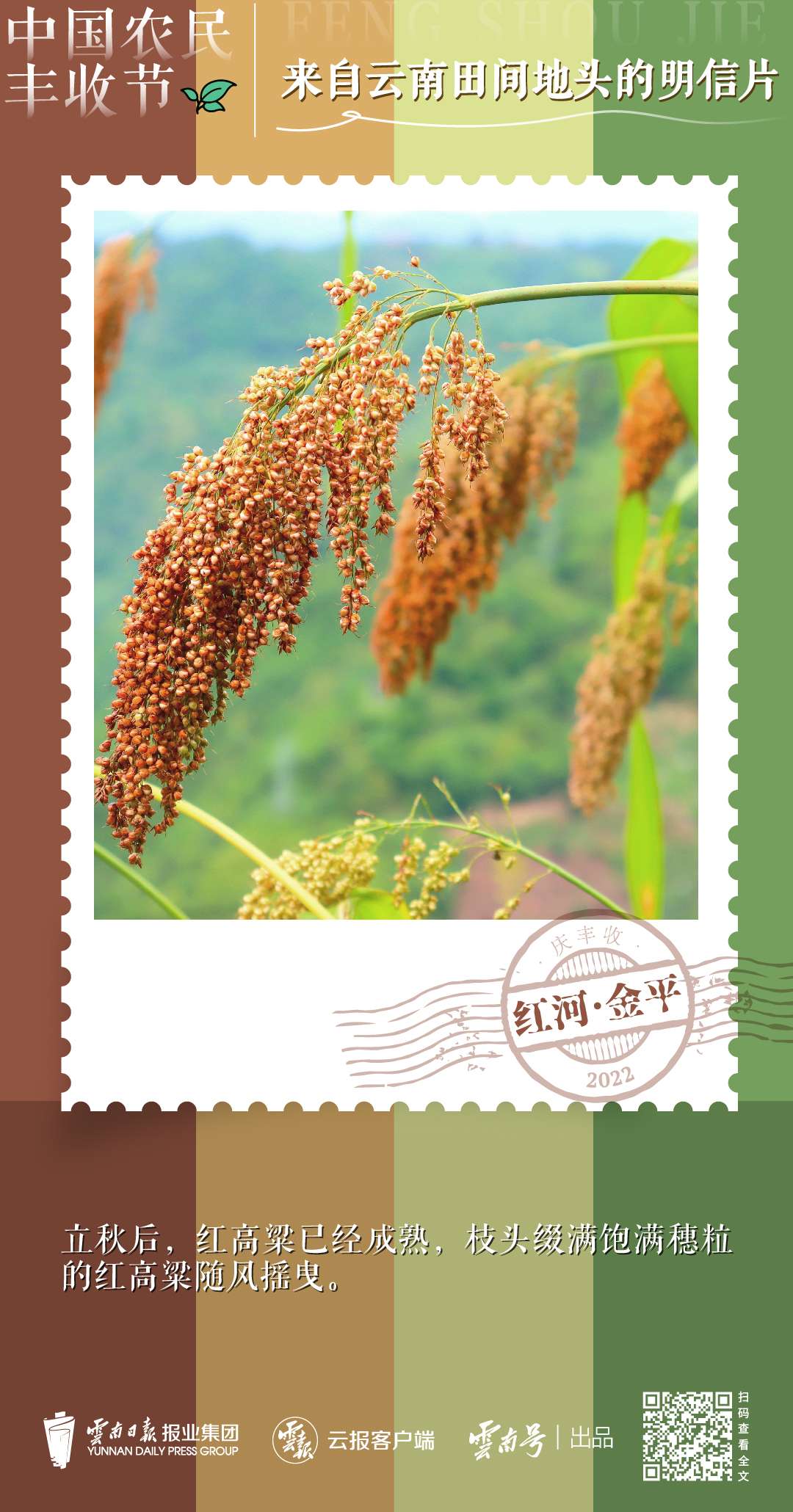 送你一组丰收明信片，作者是云南的他们→8.jpg